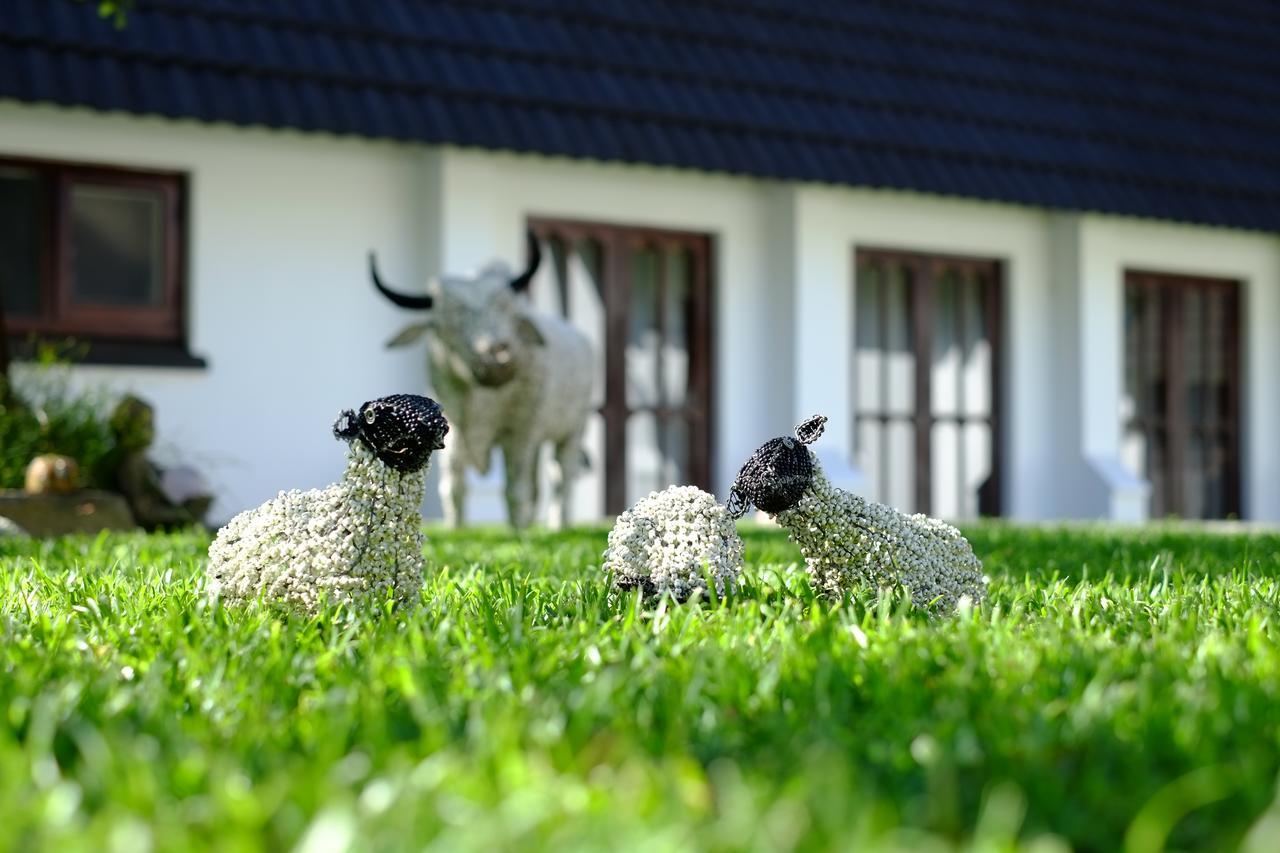 Kilmorna Manor Guest House Shoemanskloof Екстериор снимка